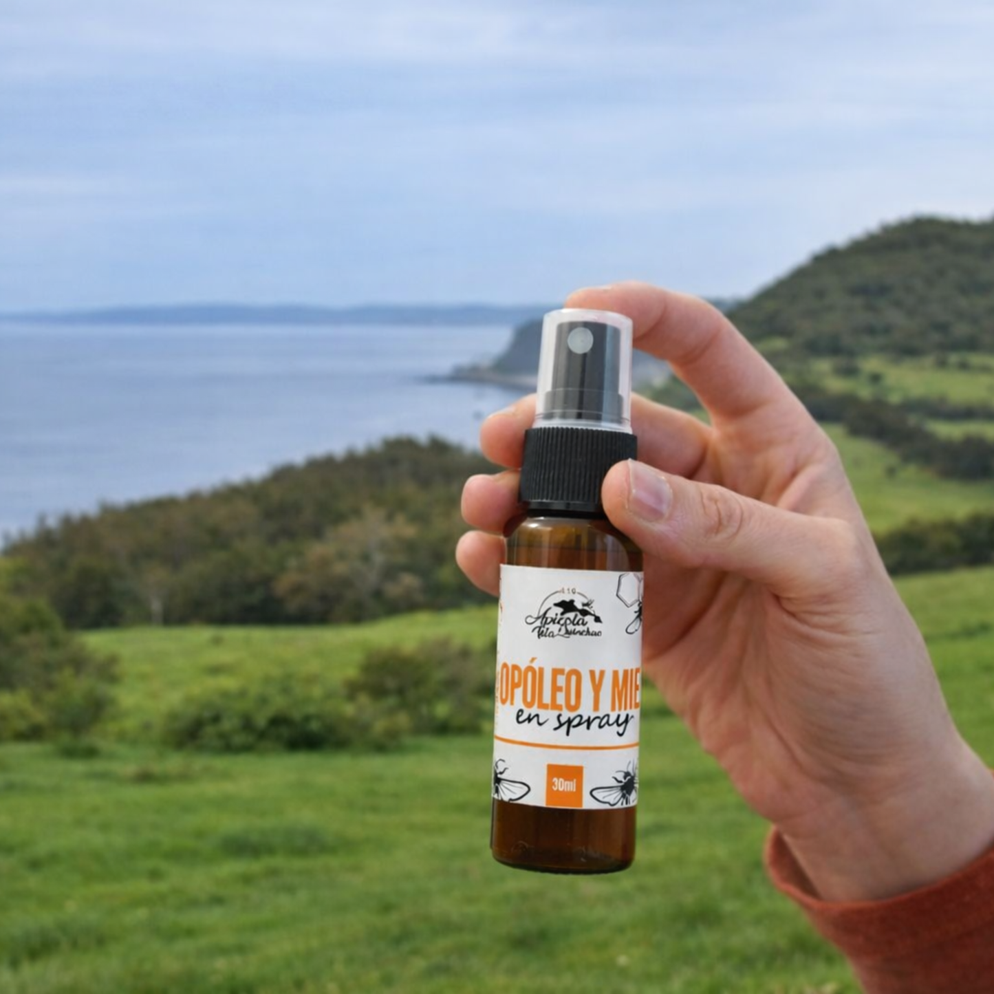 Propóleo en Spray con Miel