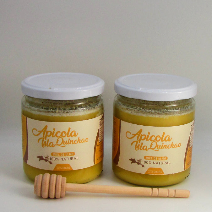 Pack 2 Mieles de Ulmo de 500 grs / Envase vidrio