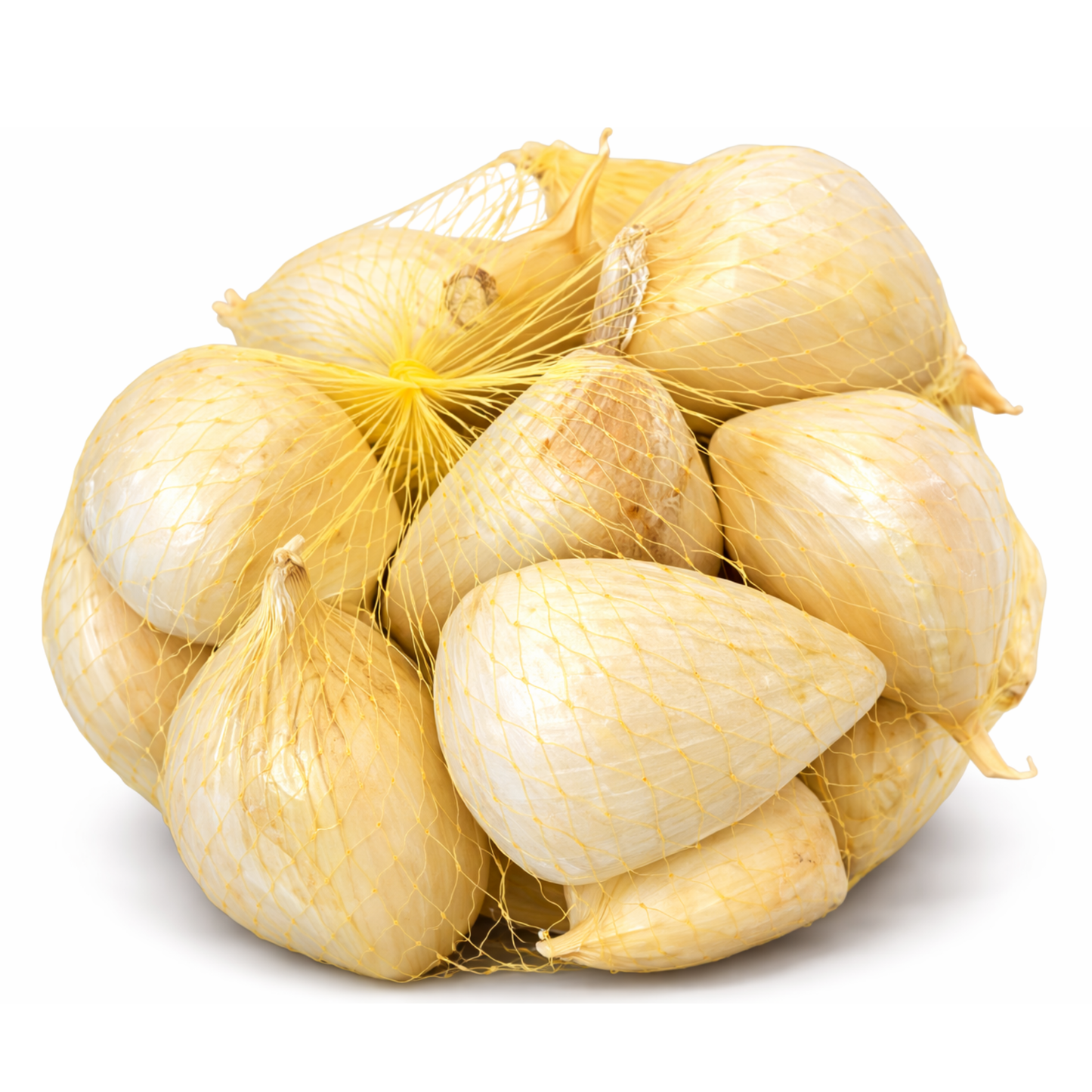Ajo Chilote 500 g