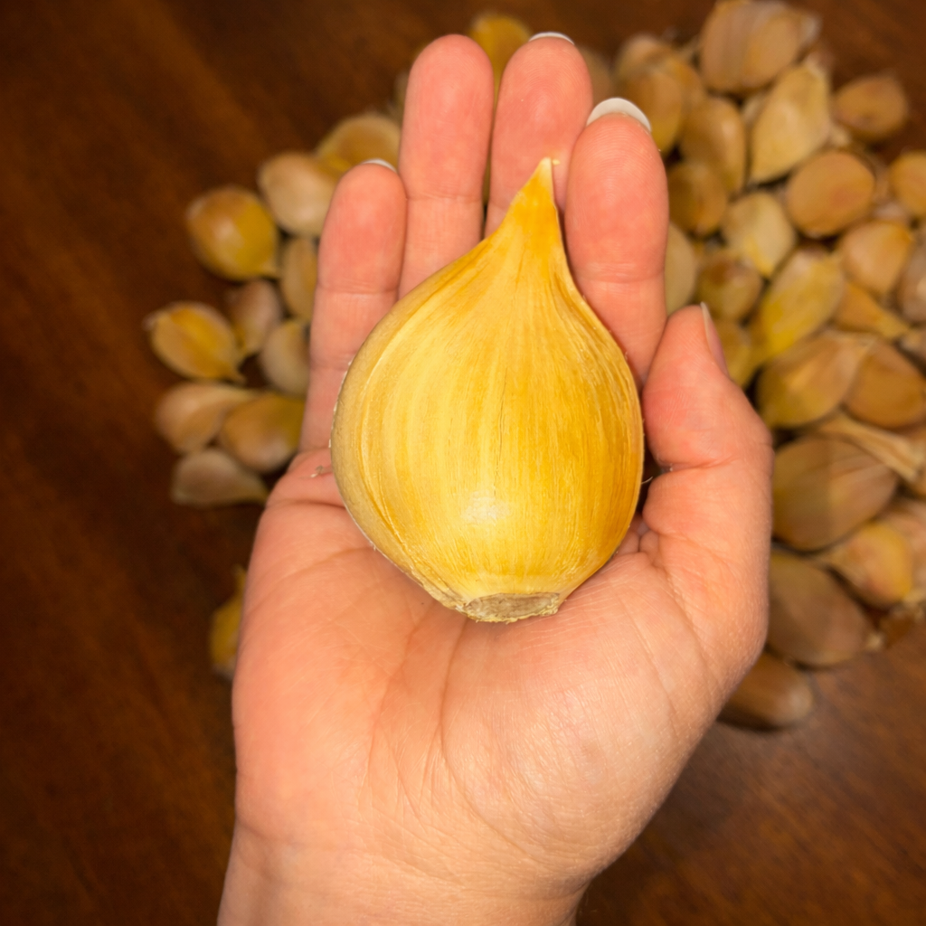 Ajo Chilote 500 g